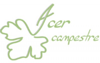 Logo Acer campestre