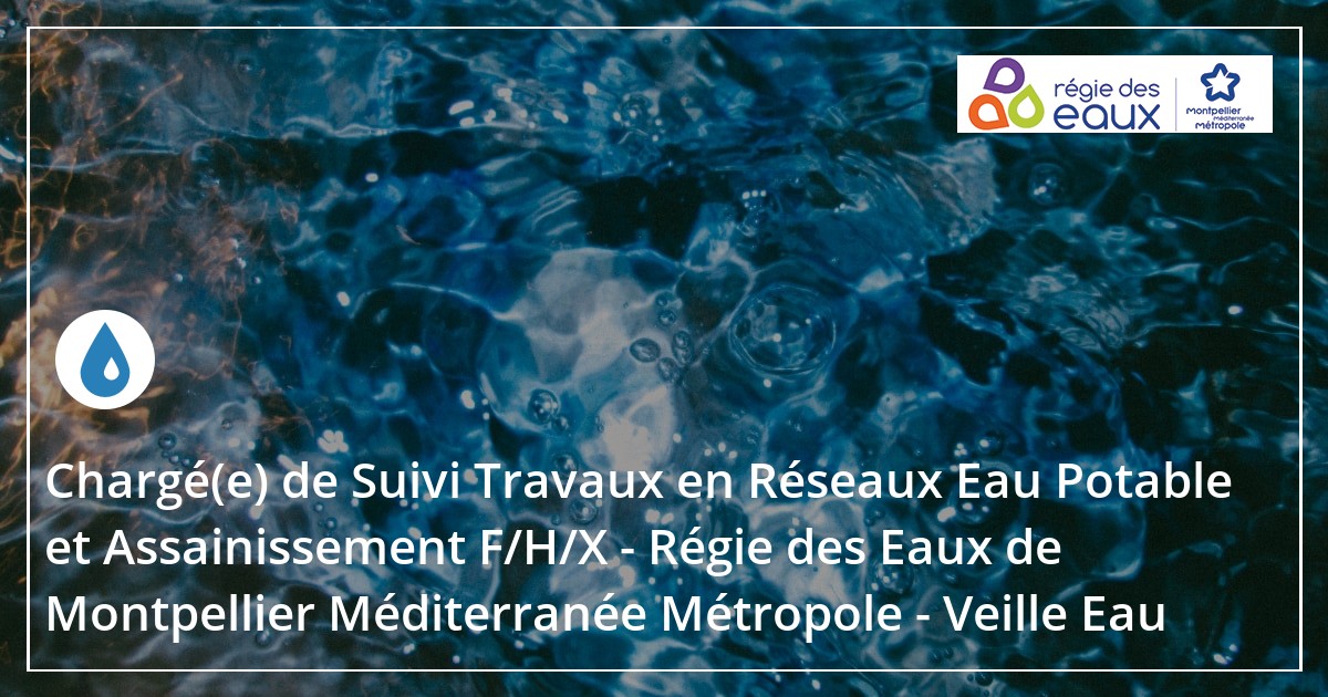 Charg E De Suivi Travaux En R Seaux Eau Potable Et Assainissement F H