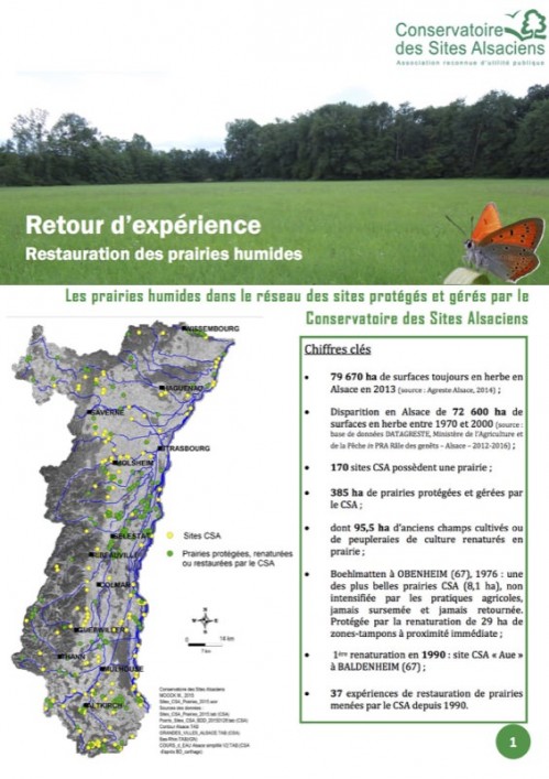[Publication] Retour d'expérience restauration des prairies humides en Alsace - Pôle relais