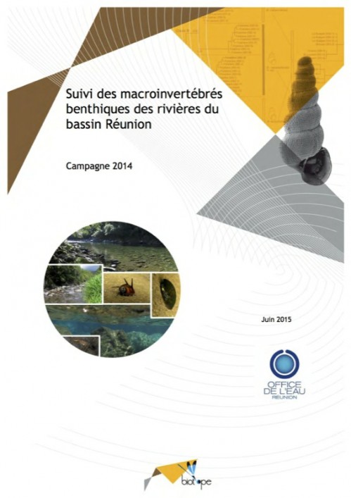 [Publication] Suivi des macroinvertébrés benthiques des rivières du bassin Réunion