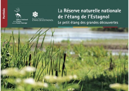 [Publication] La Réserve naturelle nationale de l’étang de l’Espagnol : le petit étang des grandes découvertes