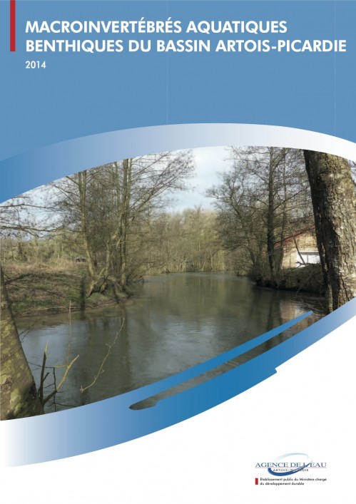 [Publication] Macroinvertébrés benthiques des cours d'eau du bassin Artois-Picardie (année 2014)