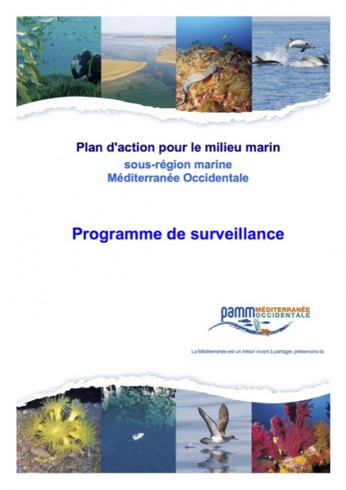[Publication] Programme de surveillance de Méditerranée occidentale - Pôle-relais lagunes méditerranéennes
