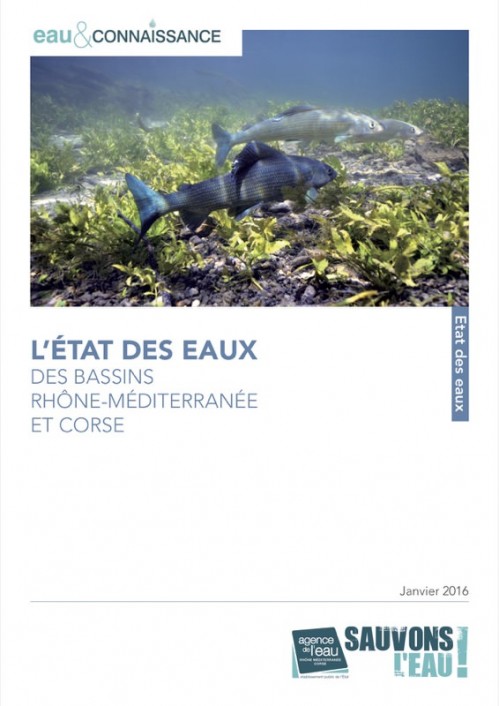 [Publication] L'état des eaux des bassins Rhône-Méditerranée et Corse