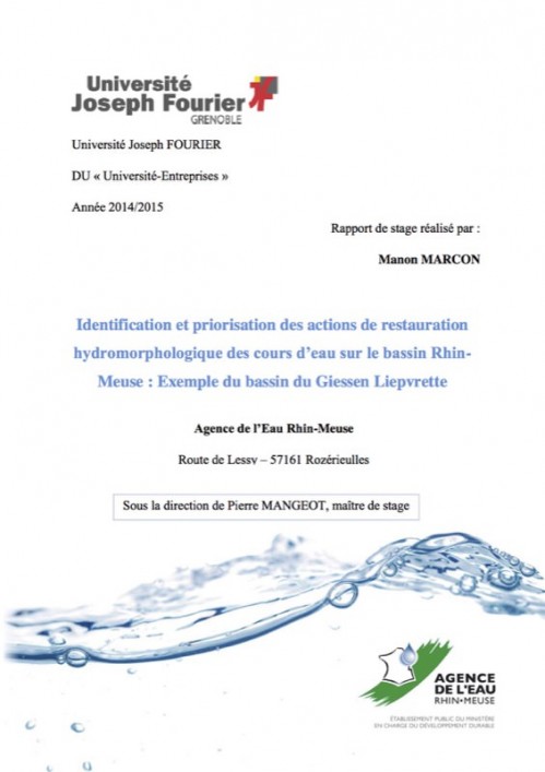 [Publication] Identification et priorisation des actions de restauration hydromorphologique des cours d'eau sur le bassin Rhin-Meuse : exemple du bassin du Giessen Liepvrette