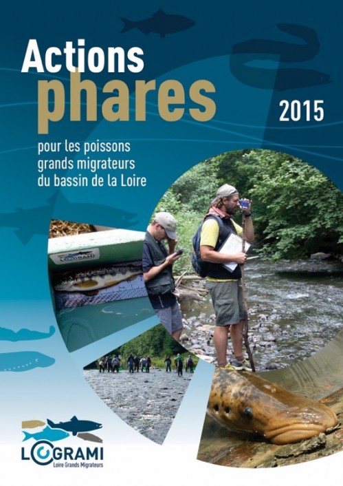 [Publication] Actions phares 2015 pour les poissons migrateurs du bassin de la Loire - LOGRAMI