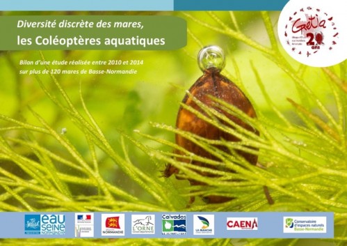 [Publication] Les Coléoptères aquatiques : diversité discrète des mares - Reseau cen
