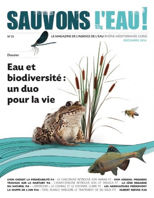 [Publication] Eau et biodiversité : un duo pour la vie - Sauvons l'eau, le magazine de l'Agence de l'eau RMC