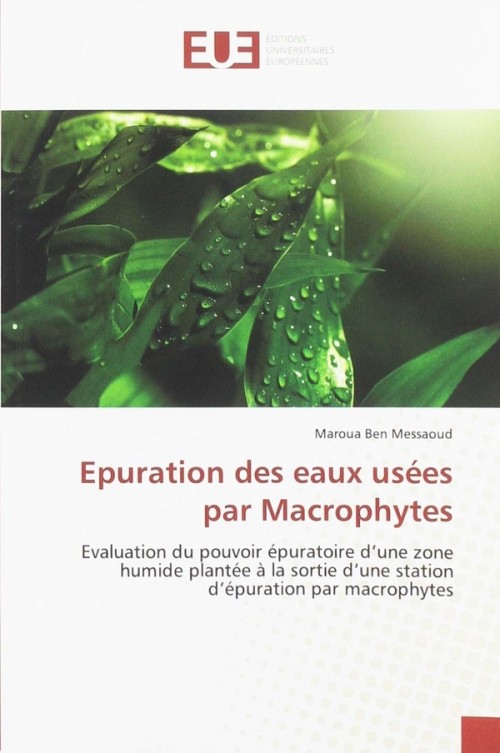 [Publication] Epuration des eaux usées par Macrophytes : Evaluation du pouvoir épuratoire d'une zone humide plantée à la sortie d'une station d'épuration par macrophytes