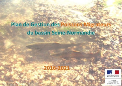 [Publication] Plan de gestion des poissons migrateurs (PLAGEPOMI) du bassin Seine-Normandie 2016-2021 - DRIEE Ile-de-France