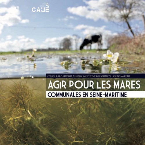 [Publication] Agir pour les mares communales en Seine-Maritime : nouvelle publication du CAUE 76