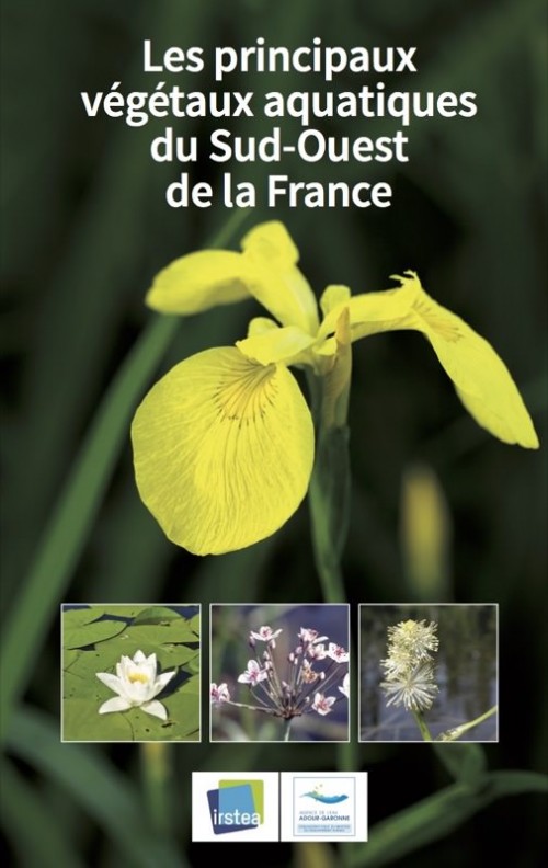 [Publication] Les principaux végétaux aquatiques du Sud-Ouest de la France