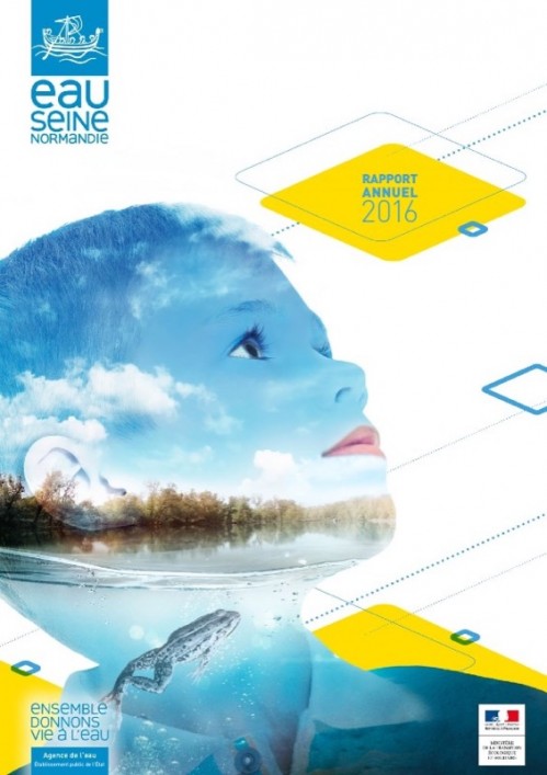 [Publication] Rapport annuel 2016 - Agence de l'eau Seine Normandie