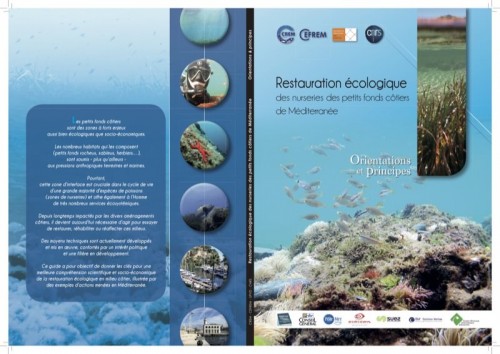 [Publication] Restauration écologique des nurseries des petits fonds côtiers de Méditerranée : orientations et principes