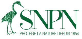 SNPN