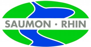 Logo Association Saumon Rhin