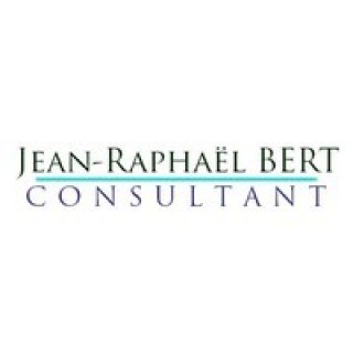 Logo Bert Consultant