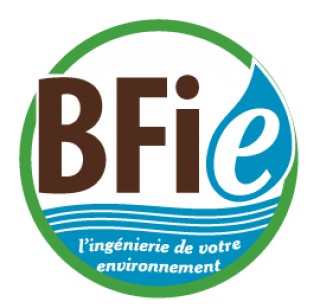 Logo BFIe Conseils