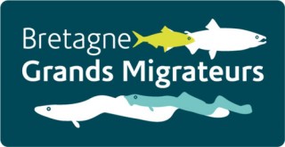 Logo Bretagne Grands Migrateurs