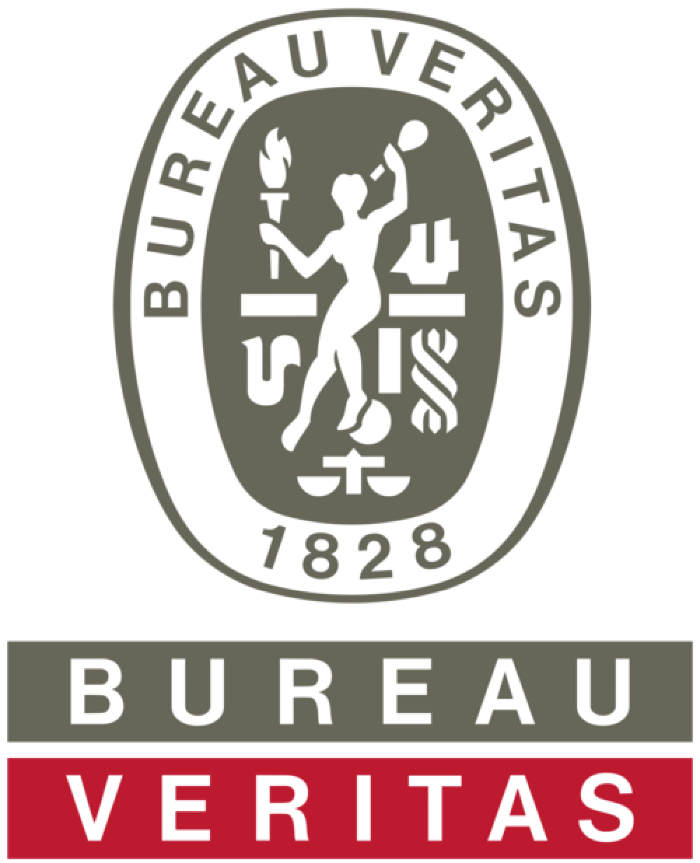 Logo Bureau Veritas