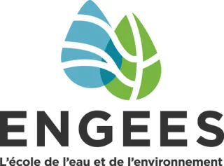 Logo ENGEES