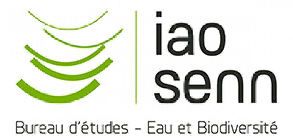 Logo IAO SENN