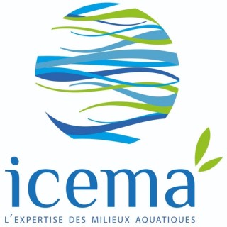 Logo Icema
