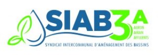 Logo Syndicat Intercommunal d'Aménagement des bassins Auron-Airain-Affluents (SIAB3A)