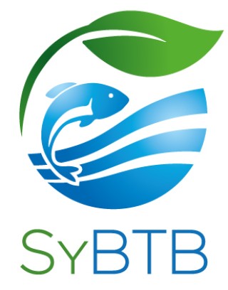 Logo Syndicat d’Aménagement des rivières du Bandiat, de la Tardoire et de la Bonnieure (SyBTB)