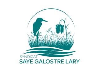Logo Syndicat Mixte de gestion des bassins versants de la Saye, du Galostre et du Lary
