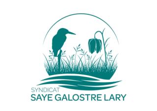 Logo Syndicat Mixte de gestion des bassins versants de la Saye, du Galostre et du Lary