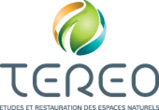 Logo TEREO