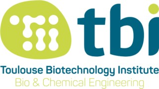 Logo Toulouse Biotechnology Institute