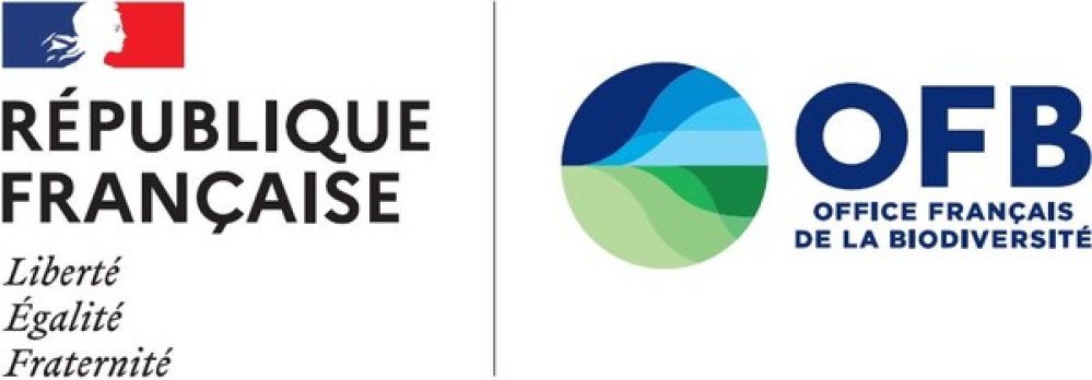 Logo Centre de ressources Milieux Humides