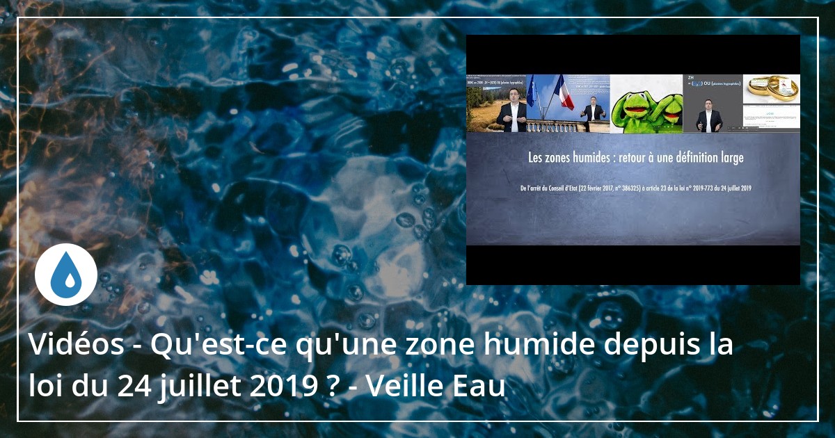 Vidéos - Qu'est-ce qu'une zone humide depuis la loi du 24 juillet 2019