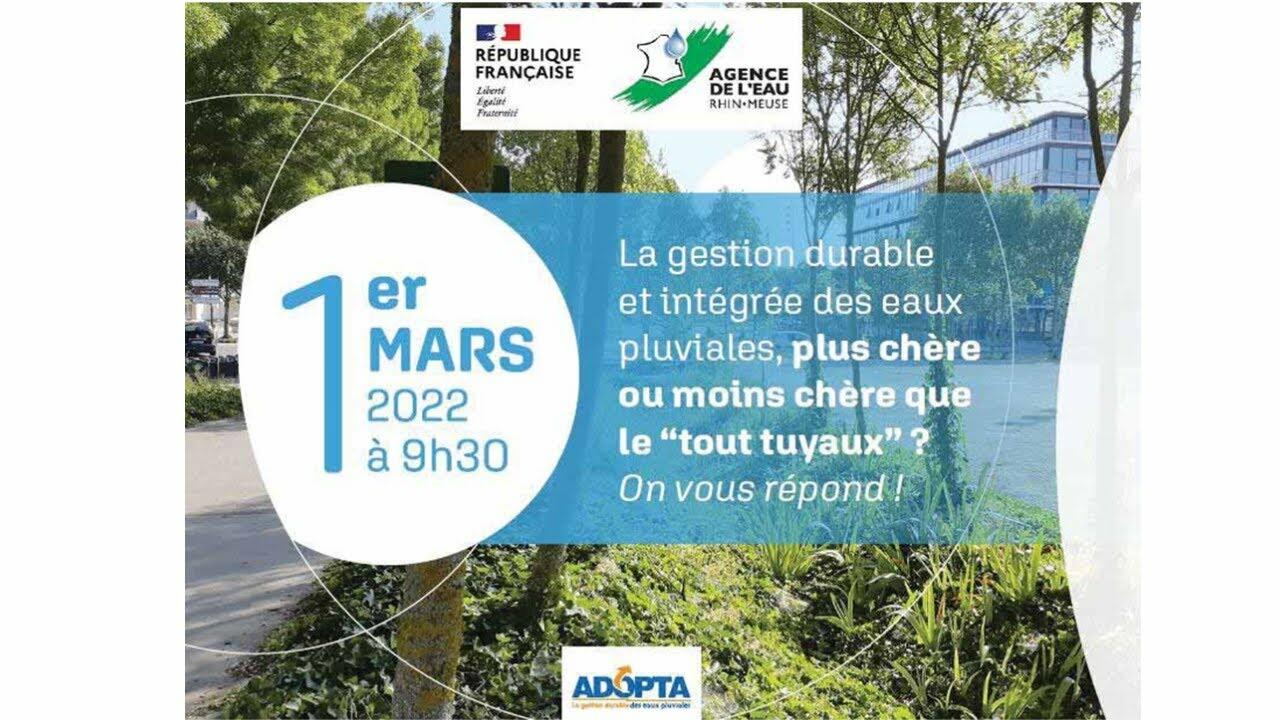 Vidéos - Webinaire - Le coût de la gestion durable des eaux pluviales ...