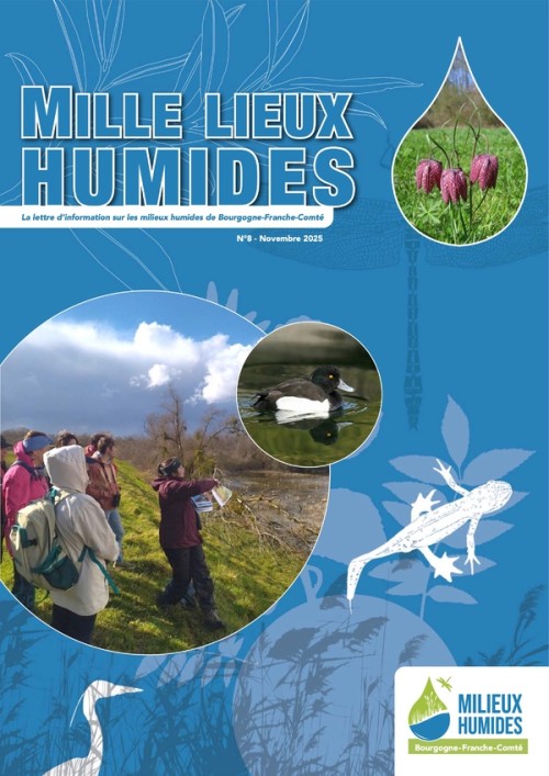 [Publication] Mille lieux humides, la lettre d'information sur les milieux humides de Bourgogne-Franche-Comté