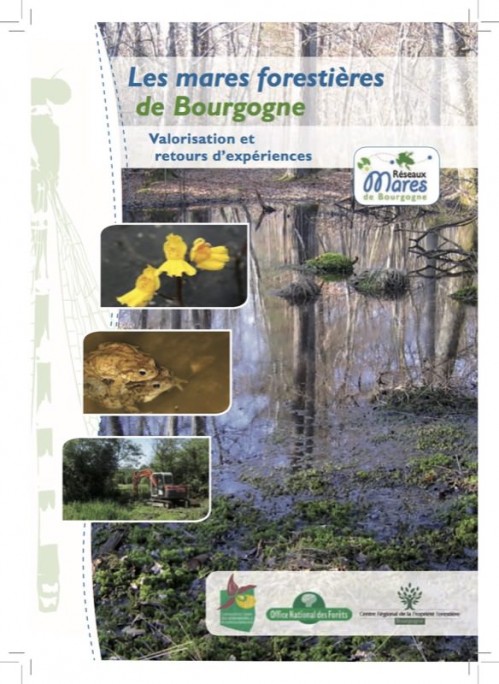 [Publication] Les mares forestières de Bourgogne : Valorisation et retours d'expérience