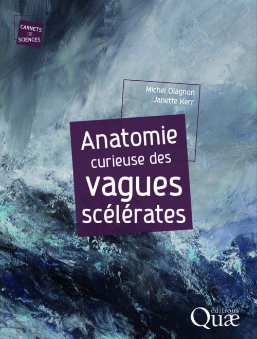 [Publication] Anatomie curieuse des vagues scélérates