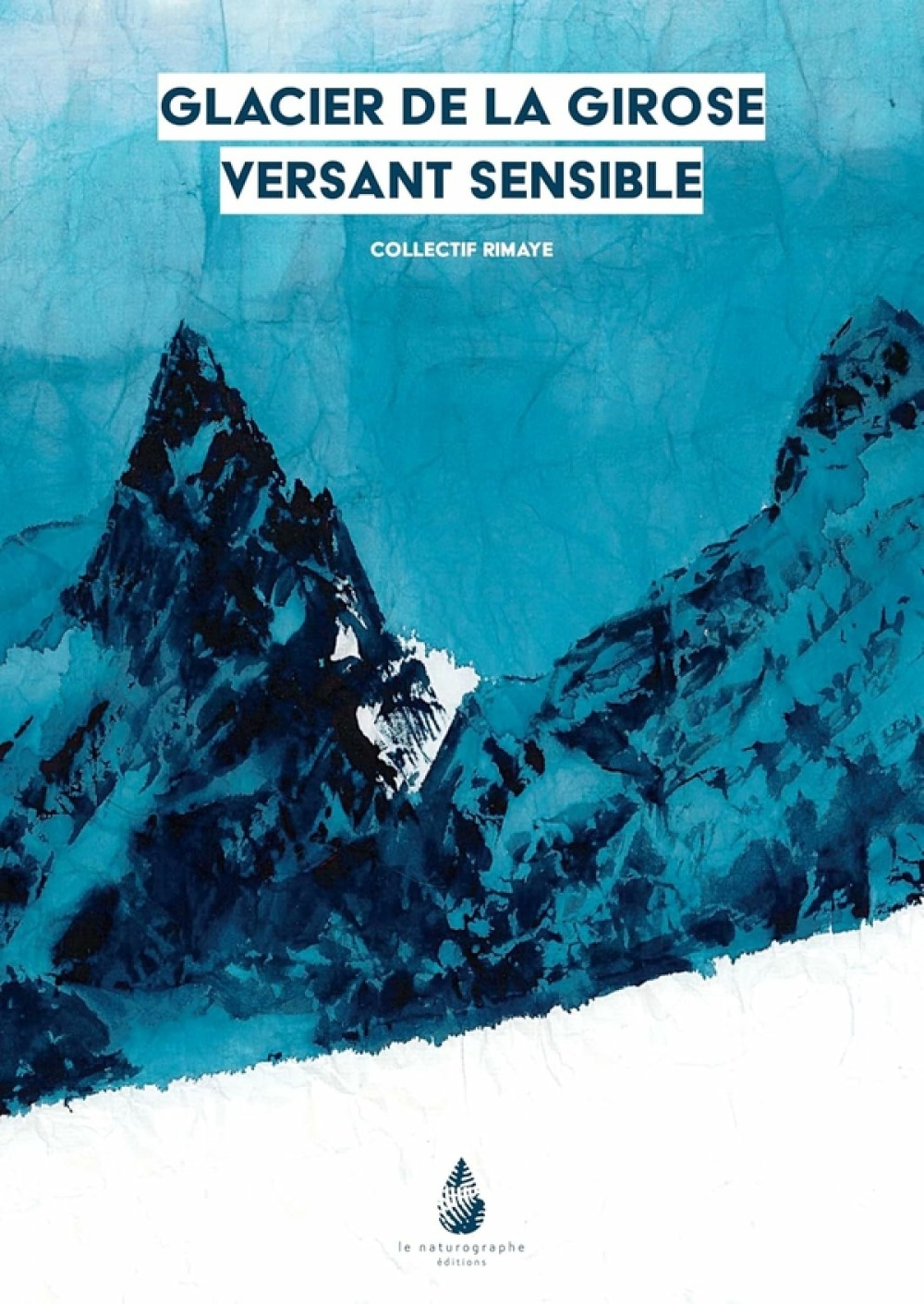 [Publication] Glacier de la Girose versant sensible