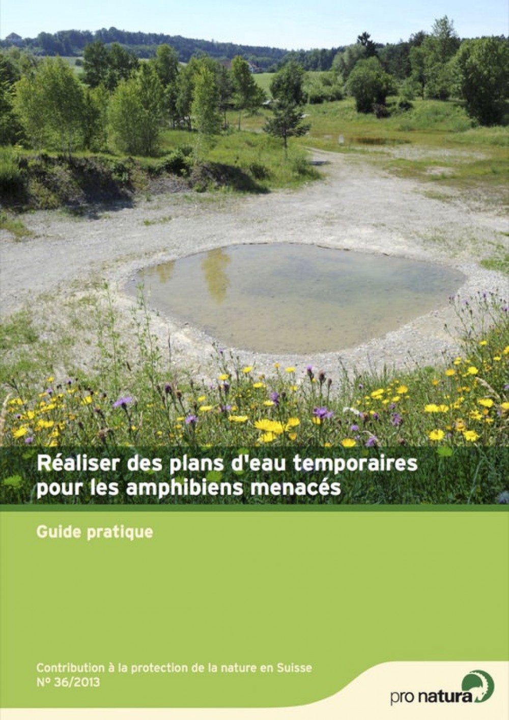 [Publication] Réaliser des plans d'eau temporaires pour les amphibiens menacés