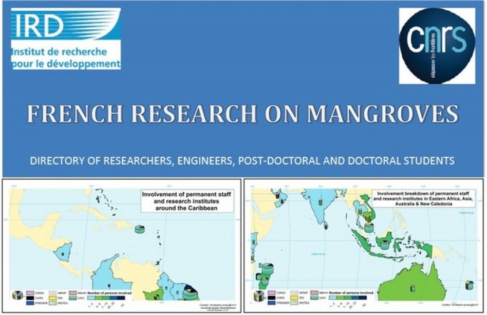 Publication de l'annuaire de la recherche française dédiée à la mangrove