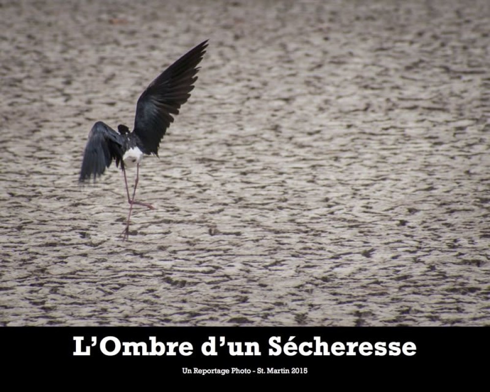 [Publication] L’ombre d’une sécheresse, un reportage photo poignant