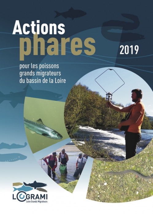 [Publication] Actions phares pour les poissons migrateurs du bassin de la Loire 2019