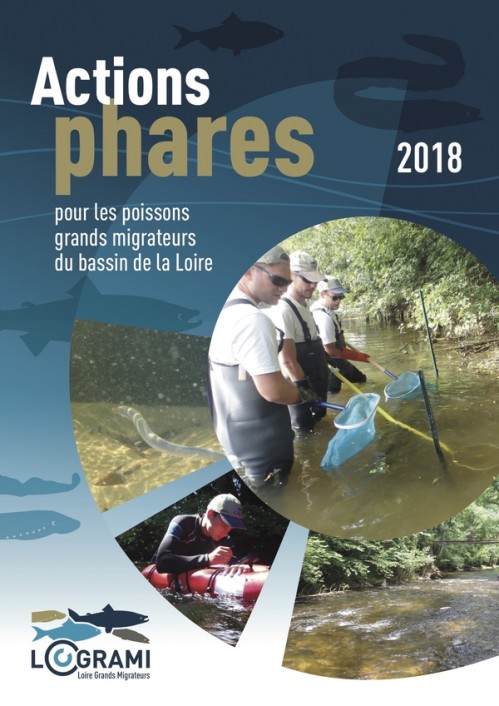 [Publication] Actions phares pour les poissons grands migrateurs du bassin de la Loire 2018 - Logrami