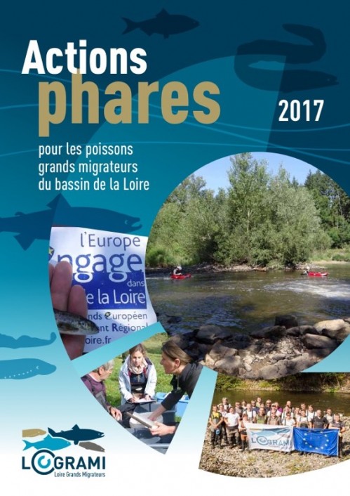 [Publication] Actions phares 2017 pour les poissons migrateurs du bassin de la Loire - LOGRAMI