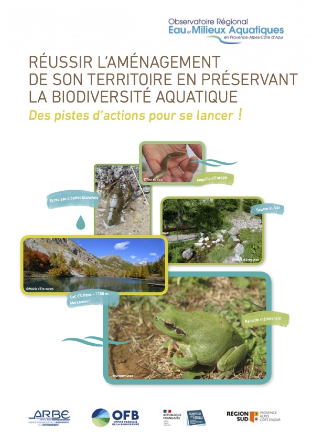 [Publication] Réussir l’aménagement de son territoire en préservant la biodiversité aquatique – Des pistes d’actions pour se lancer !