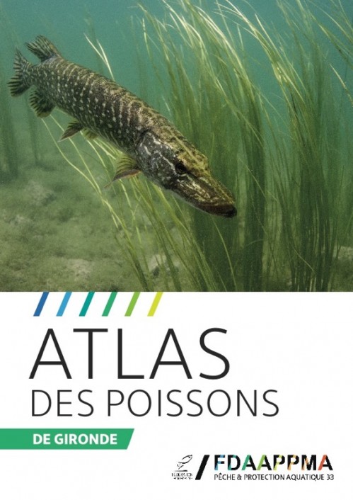 [Publication] Atlas des poissons de Gironde - Agence de l'eau Adour Garonne