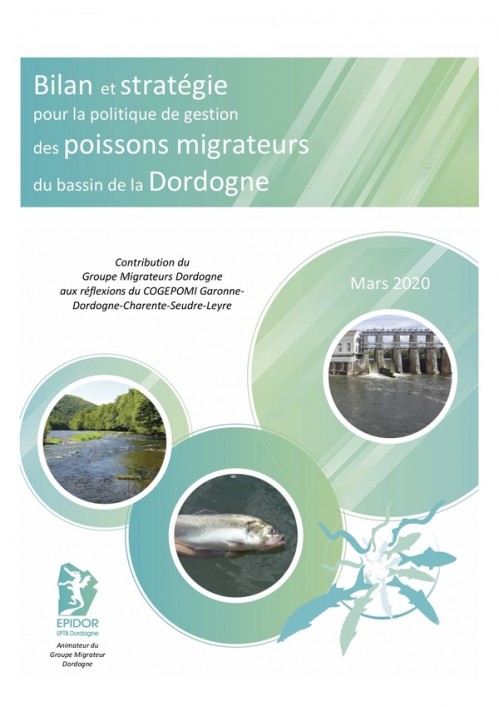 [Publication] Bilan et stratégie pour la politique de gestion des poissons migrateurs du bassin de la Dordogne