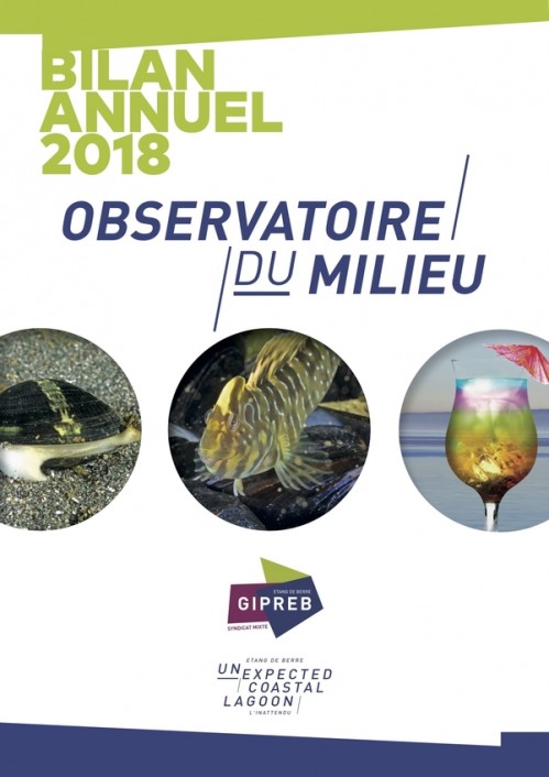 [Publication] Etang de Berre - Bilan de l'Observatoire 2018 - GIPREB